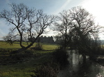 SX17184 Old Beaupre Castle from river Thaw.jpg